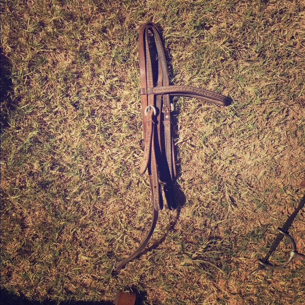 Horse Tack Lot